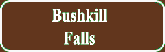 Bushkill Falls sign